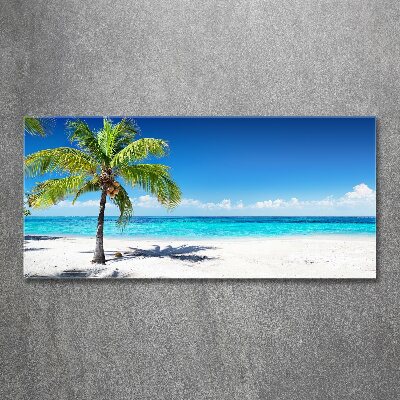 Foto op plexiglas Tropisch strand