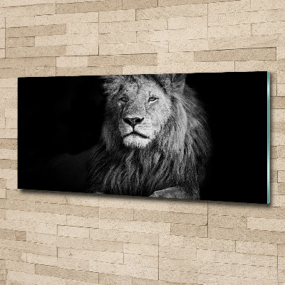 Plexiglas foto Leeuw