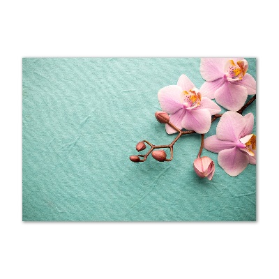 Plexiglas foto Orchidee