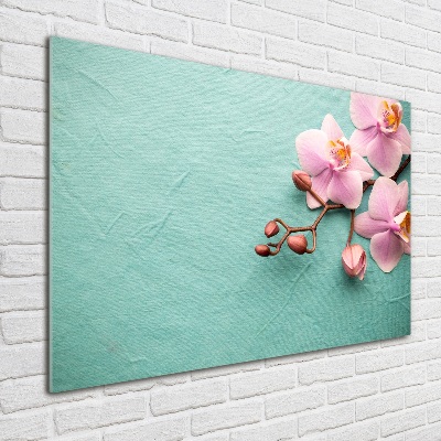 Plexiglas foto Orchidee