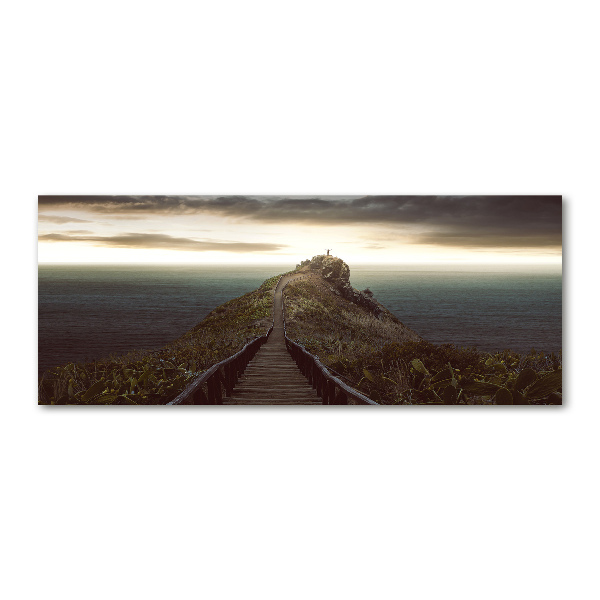 Schilderij op acrylglas Pad op de rots