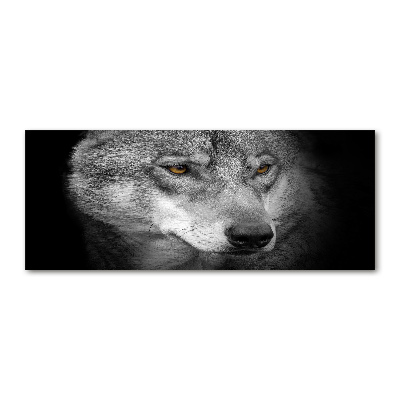 Foto plexiglas Wolf