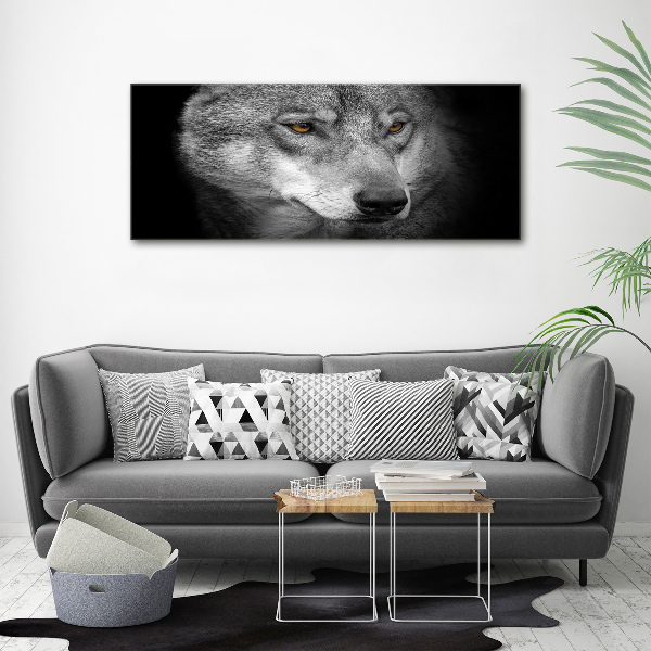 Foto plexiglas Wolf