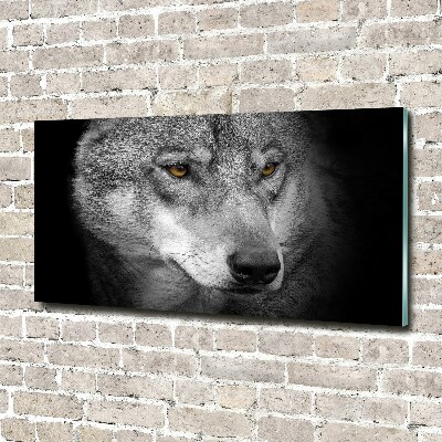 Foto plexiglas Wolf