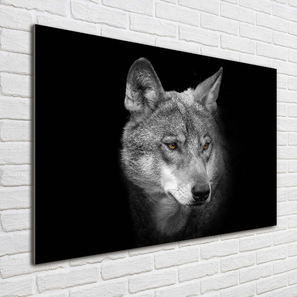 Foto plexiglas Wolf
