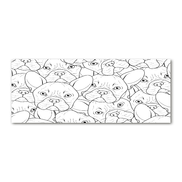 Schilderij op acrylglas Franse bulldogs