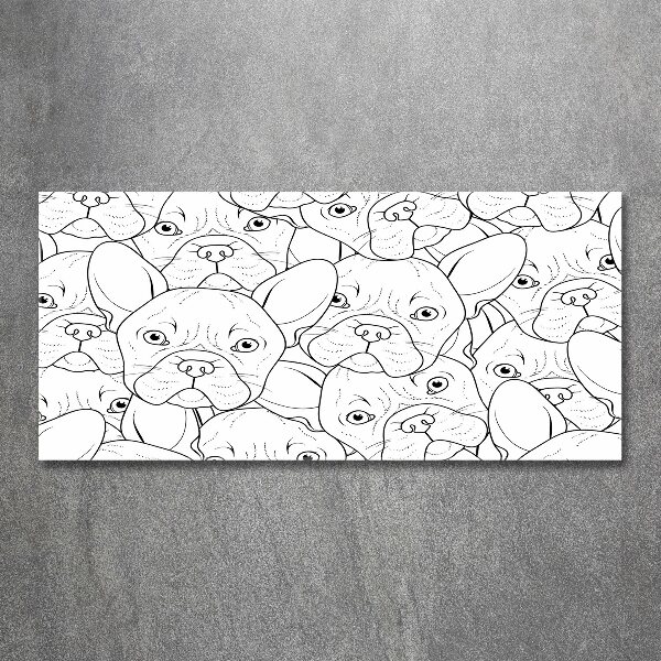 Obraz zdjęcie akryl Buldogi francuskie