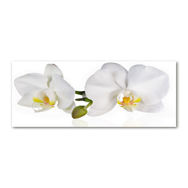 Plexiglas schilderij Orchidee
