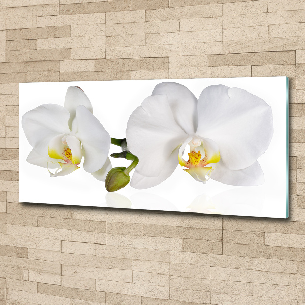 Plexiglas schilderij Orchidee