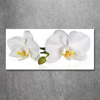 Plexiglas schilderij Orchidee