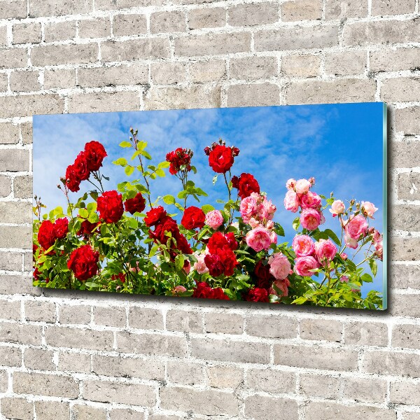 Foto plexiglas Wilde rozen