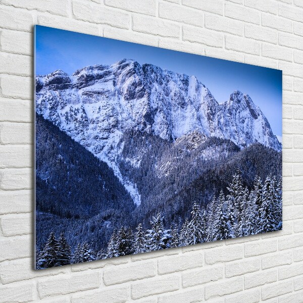 Foto in plexiglas Giewont Tatra-gebergte