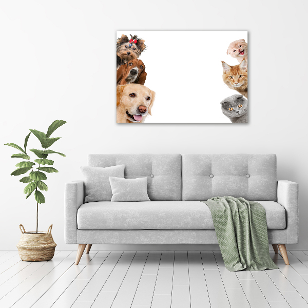 Foto in plexiglas Honden en katten