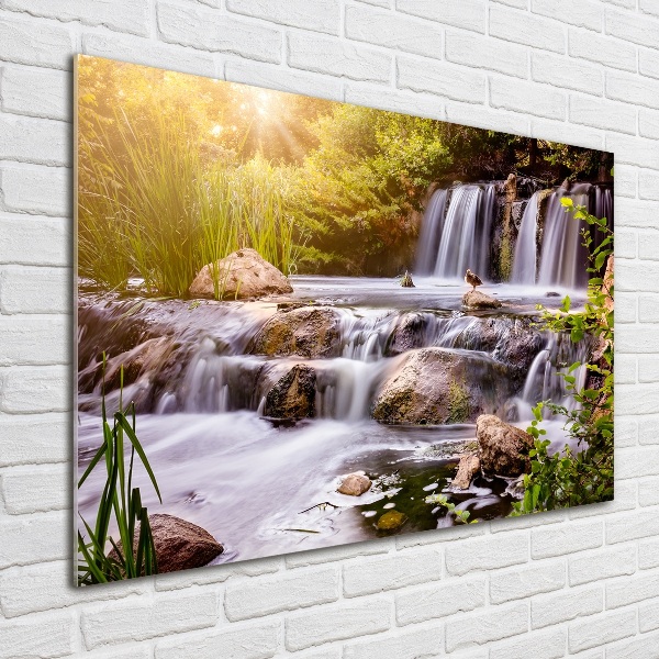 Plexiglas schilderij Waterval