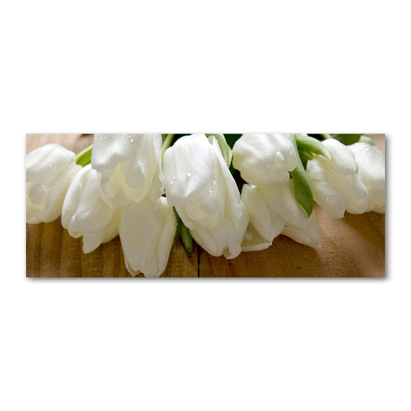 Foto op plexiglas Witte tulpen