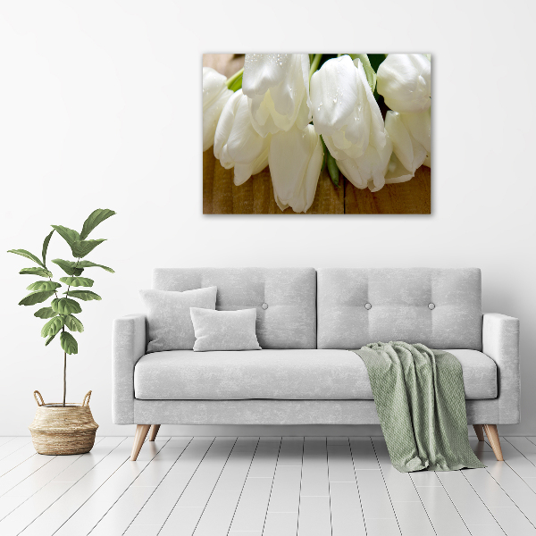 Foto op plexiglas Witte tulpen