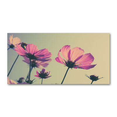 Plexiglas foto Roze bloemen