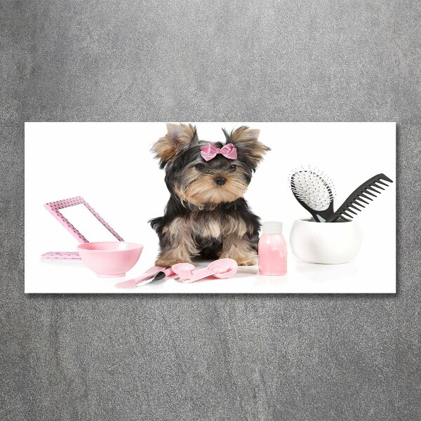 Plexiglas schilderij Yorkshire cosmetica