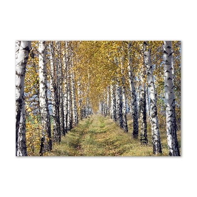 Foto plexiglas Berken in de herfst