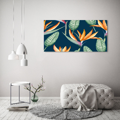 Schilderij op acrylglas Strelitzia reginae
