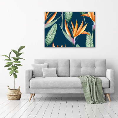 Schilderij op acrylglas Strelitzia reginae