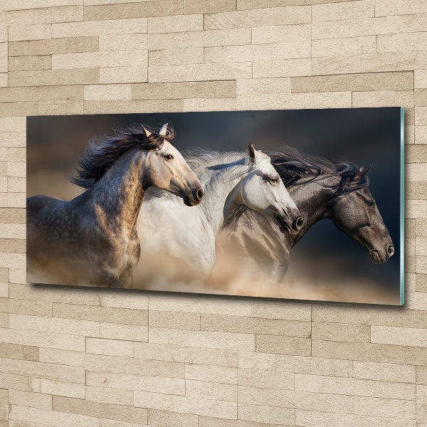 Foto in plexiglas Paarden in galop