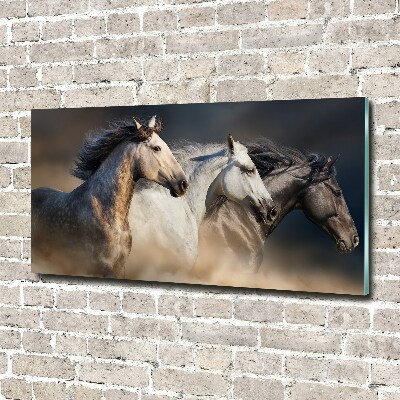 Foto in plexiglas Paarden in galop