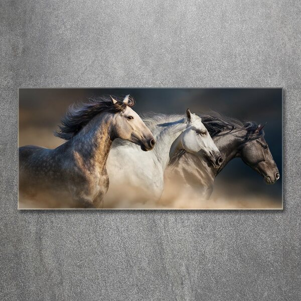 Foto in plexiglas Paarden in galop