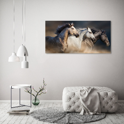 Foto in plexiglas Paarden in galop