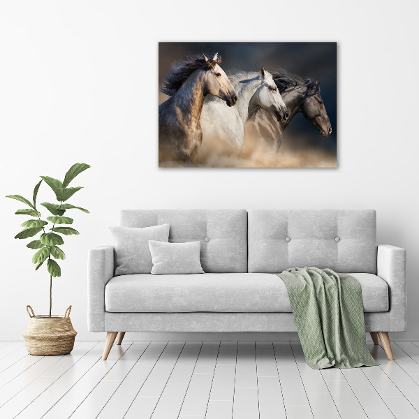 Foto in plexiglas Paarden in galop