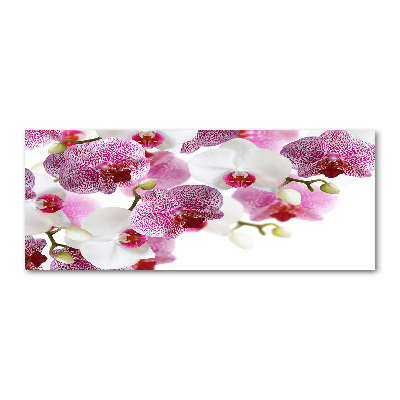 Foto in plexiglas Orchidee