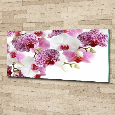 Foto in plexiglas Orchidee