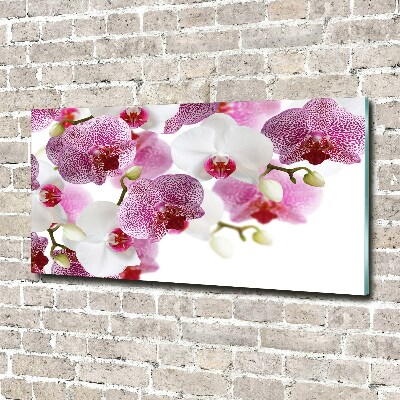 Foto in plexiglas Orchidee