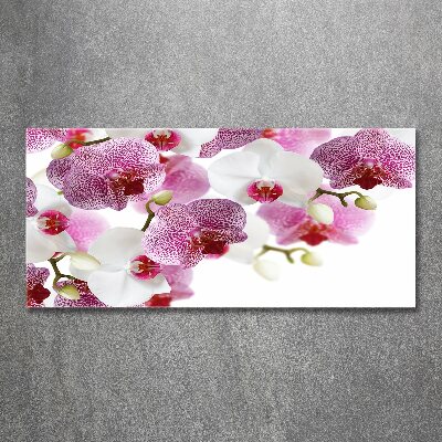 Foto in plexiglas Orchidee