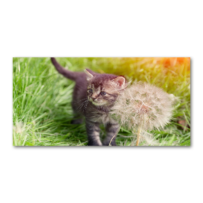 Foto op plexiglas Kitten met een paardenbloem