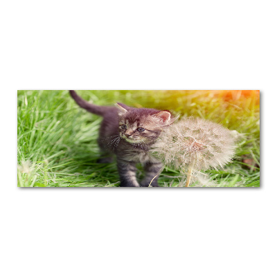 Foto op plexiglas Kitten met een paardenbloem