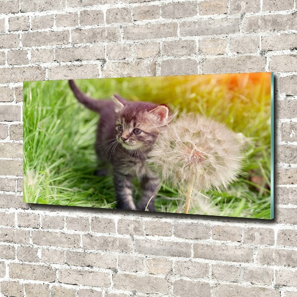 Foto op plexiglas Kitten met een paardenbloem
