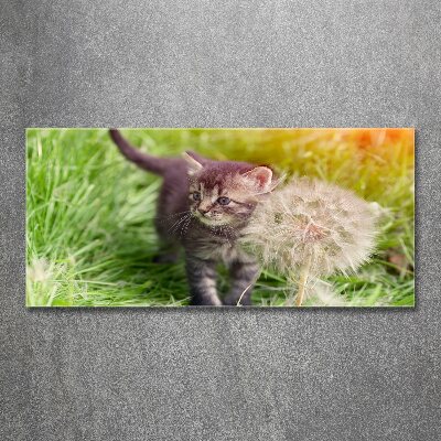 Foto op plexiglas Kitten met een paardenbloem
