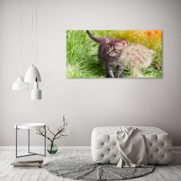 Foto op plexiglas Kitten met een paardenbloem