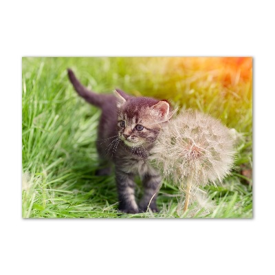 Foto op plexiglas Kitten met een paardenbloem