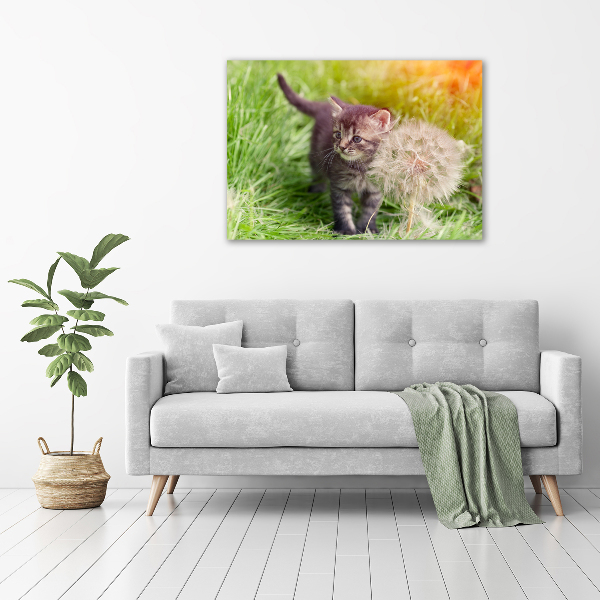 Foto op plexiglas Kitten met een paardenbloem