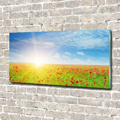 Schilderij op acrylglas Klaprozenveld