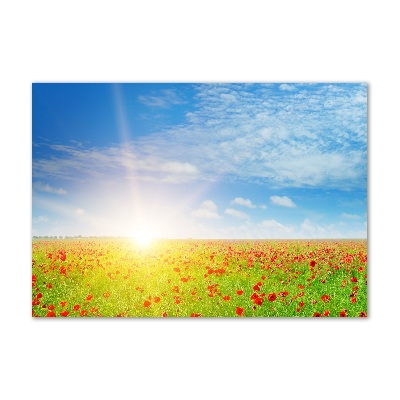 Schilderij op acrylglas Klaprozenveld