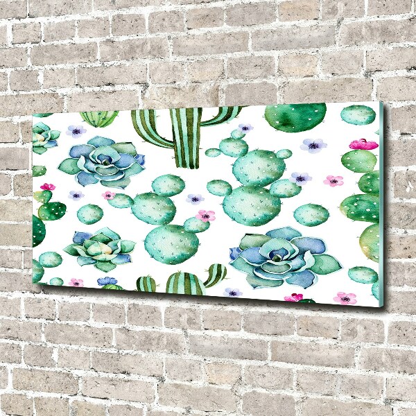 Foto op plexiglas Cactussen