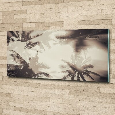 Plexiglas foto Palmbomen