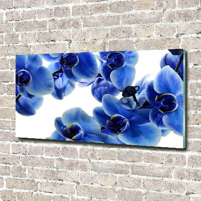Foto plexiglas Blauwe orchidee