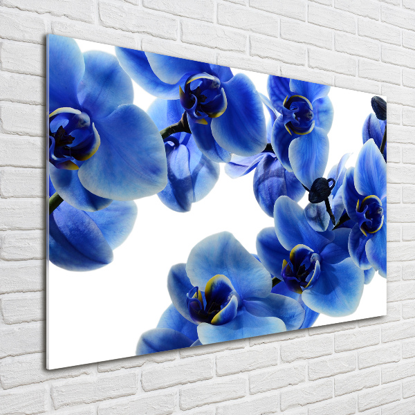 Foto plexiglas Blauwe orchidee