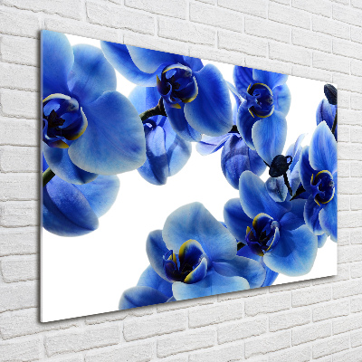 Foto plexiglas Blauwe orchidee