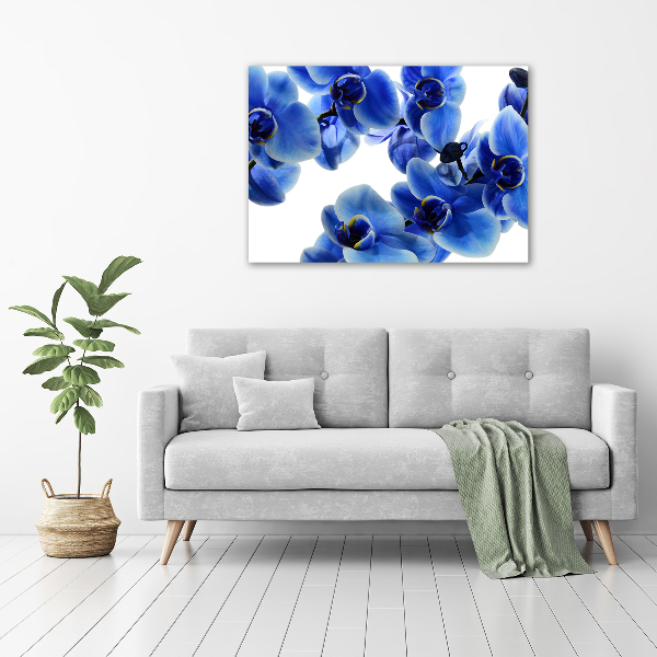 Foto plexiglas Blauwe orchidee