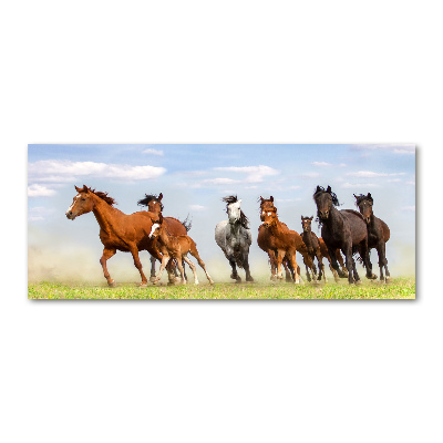 Plexiglas foto Paarden in galop